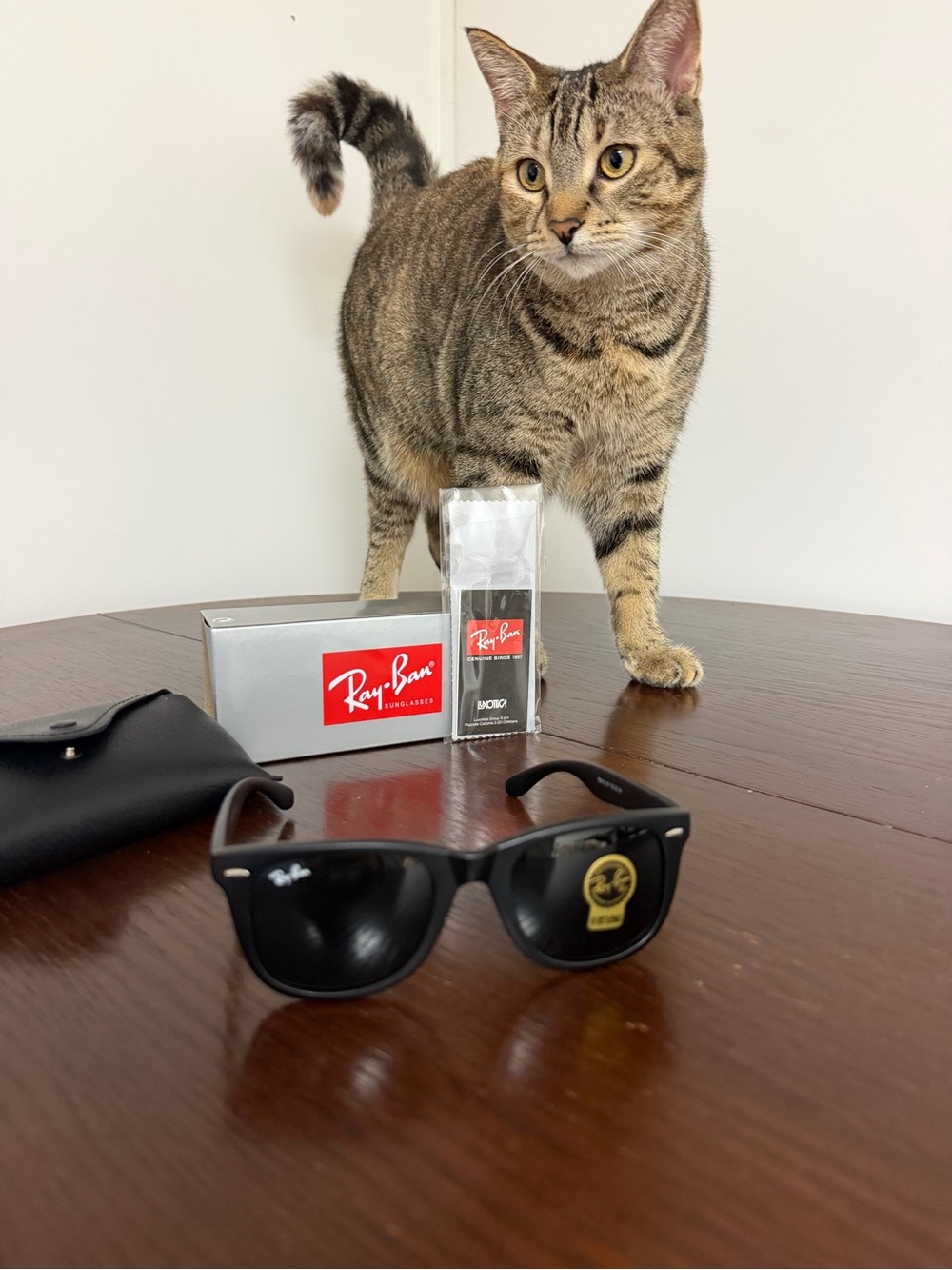 Ray-Ban Wayfarer Classic Sunglasses in Black